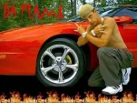 funny-picture-5340