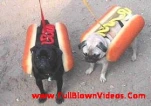 funny-picture-4156