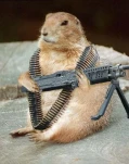 funny-picture-2777