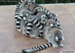funny-picture-3006