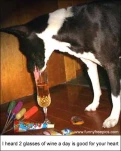 funny-picture-1122