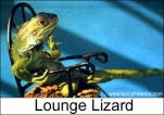 funny-picture-814