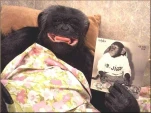 ANIMAL5