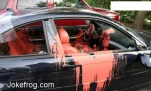 funny-picture-6878