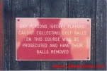 funny-picture-5697
