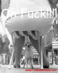 funny-picture-6483