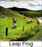 funny-picture-6874