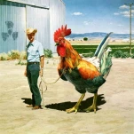 funny-picture-6077