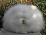 funny-picture-5590