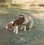 funny-picture-6679