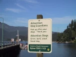 funny-picture-6484