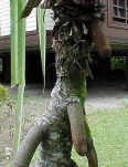 funny-picture-5742