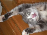 funny-picture-5507