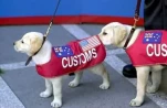 funny-picture-6095