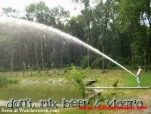 funny-picture-6736