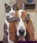 funny-picture-5667