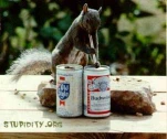 funny-picture-5773