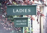funny-picture-6585
