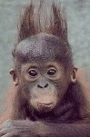 funny-picture-6936
