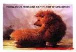 funny-picture-6056