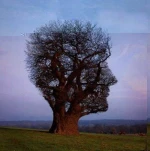 funny-picture-5818