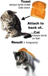 funny-picture-6770