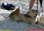 funny-picture-5938