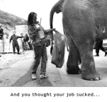 funny-picture-6707