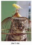 funny-picture-6588