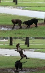 funny-picture-6409