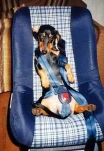 funny-picture-5623