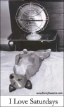 funny-picture-6837