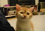 funny-picture-5860