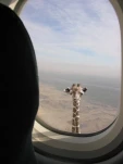 funny-picture-5794