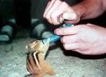 funny-picture-6938