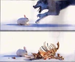 funny-picture-6744