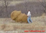 funny-picture-5854