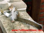 funny-picture-6876