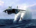 funny-picture-5571