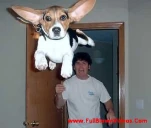 funny-picture-5669