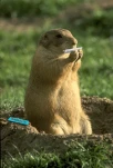 funny-picture-6689