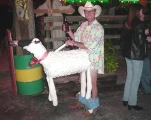 funny-picture-6325