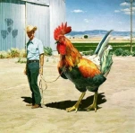 ANIMAL4