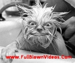 funny-picture-5487