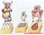 funny-picture-5482