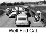 funny-picture-6087