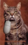 funny-picture-6779