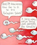 funny-picture-6431