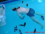 funny-picture-5805