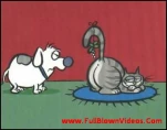 funny-picture-6412